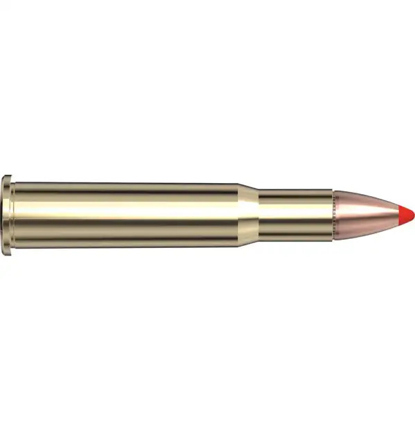 Hornady .30-30 Win 160grs 20STK FTX Lever Evolution